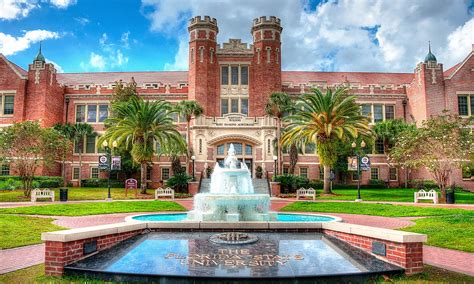 top party schools in florida|most fun colleges in florida.